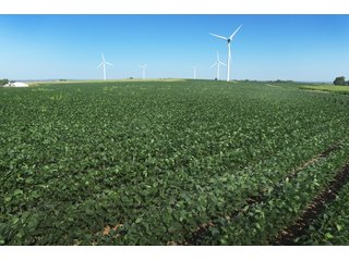 Bureau County, Illinois farmland - Tract 2 - LAND AND WIND RIGHTS AUCTION - 337+/- ACRES IN 4 TRACTS IN BUREAU COUNTY, ILLINOIS